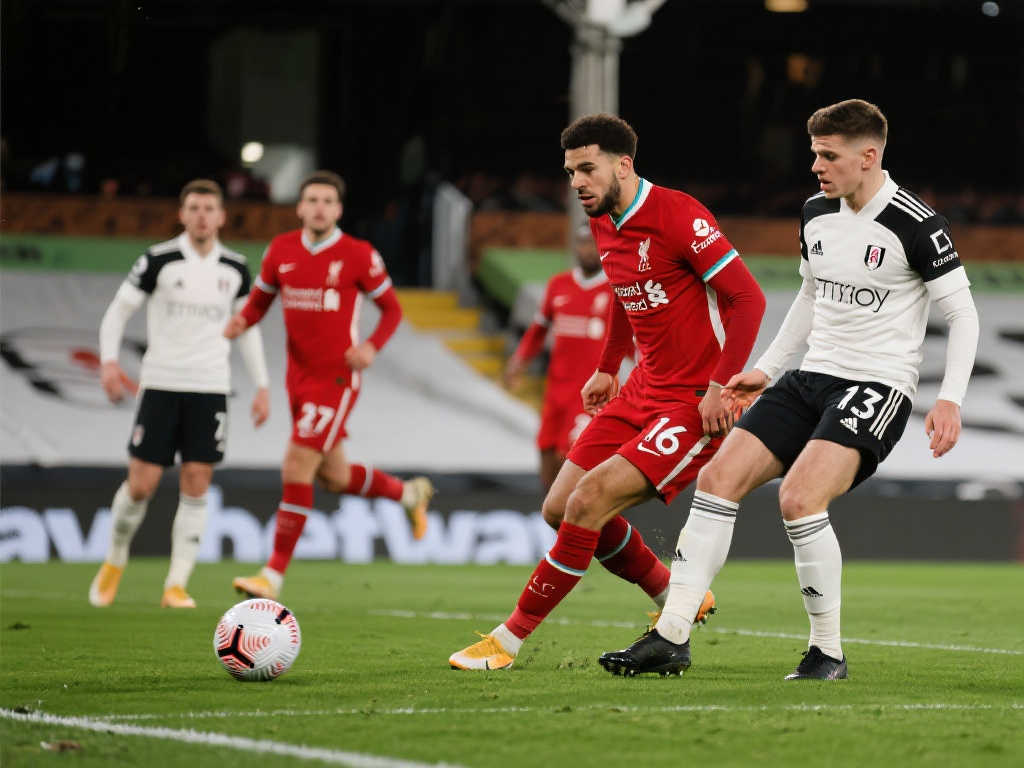 足球比赛中 足球比赛中