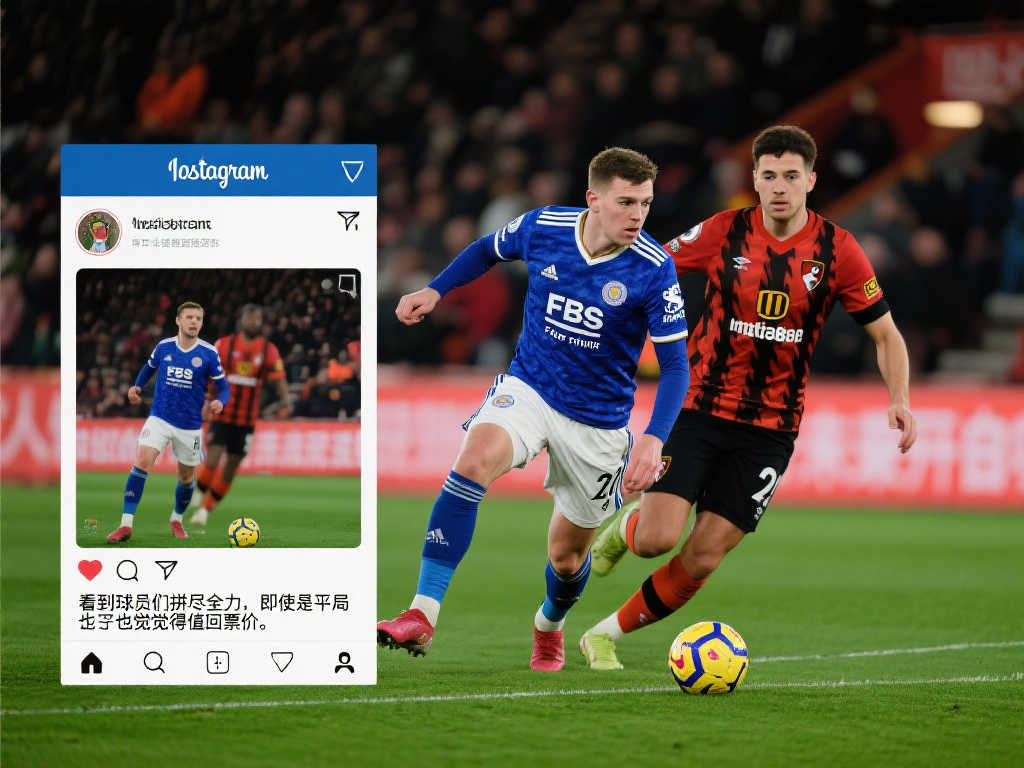 己的期待与 己的期待与